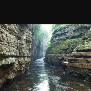 Meet your Posher, Craig